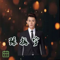 张振宇